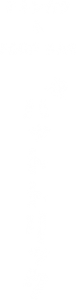 main_copy